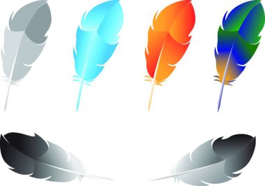 Tüy, grafik vektör illüstrasyonu 