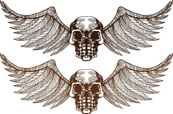 Winged Skulls Colorful Vector Illustration — Stock Vector