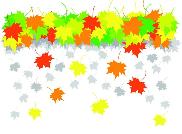 Falling Maple Leaves Graphic Vector Illustration — Stock Vector