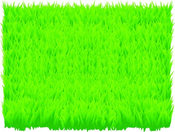Green Grass Background Graphic Vector Illustration — Stock Vector