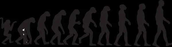 Lidská Evoluce Grafická Vektorová Ilustrace — Stockový vektor