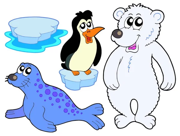 Buz Hayvanları Koleksiyonu Renkli Vektör Çizimi — Stok Vektör
