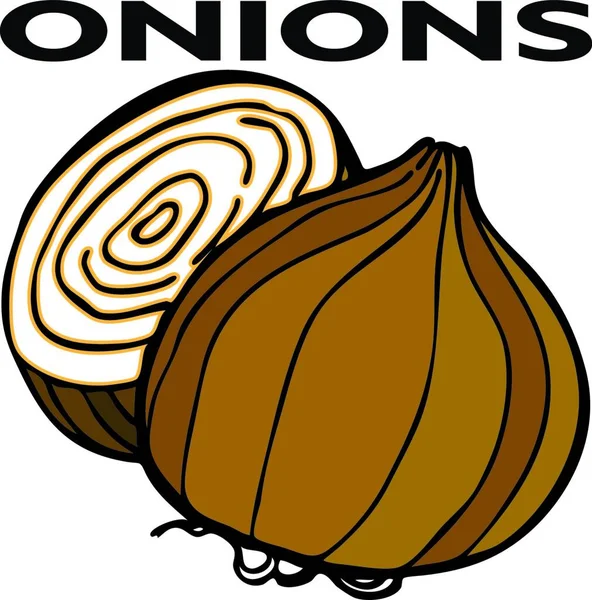 Onion Icon Web Simple Illustration — Stock Vector