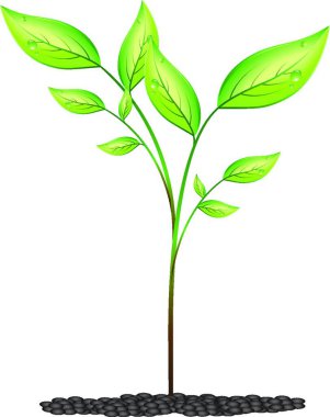 Yeşil yaprak çubuğu, grafik vektör illüstrasyonu