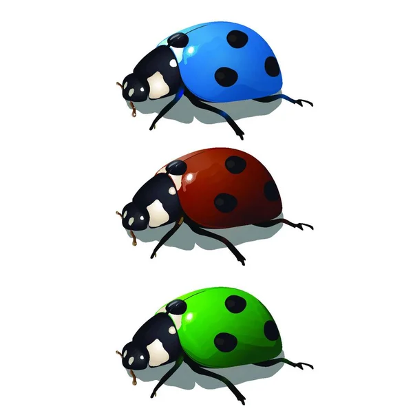 Ladybird Πολύχρωμη Διανυσματική Απεικόνιση — Διανυσματικό Αρχείο