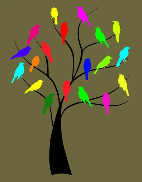 Vogels Kleurrijke Vector Illustratie — Stockvector