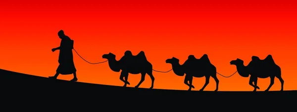 Camels Illustration Vectorielle Colorée — Image vectorielle