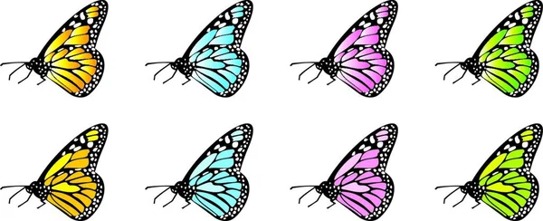 蝶のカラフルなベクトルイラスト — ストックベクタ