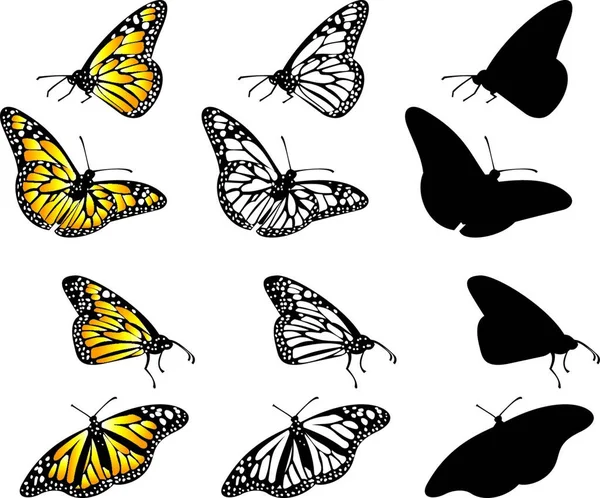 Mariposas Colorido Vector Ilustración — Vector de stock