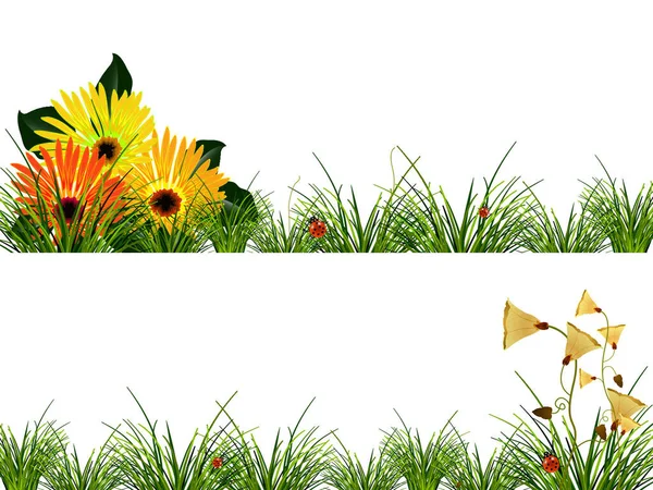 Cabeçalhos Com Flores Grama Ilustração Vetorial Colorida Joaninhas — Vetor de Stock