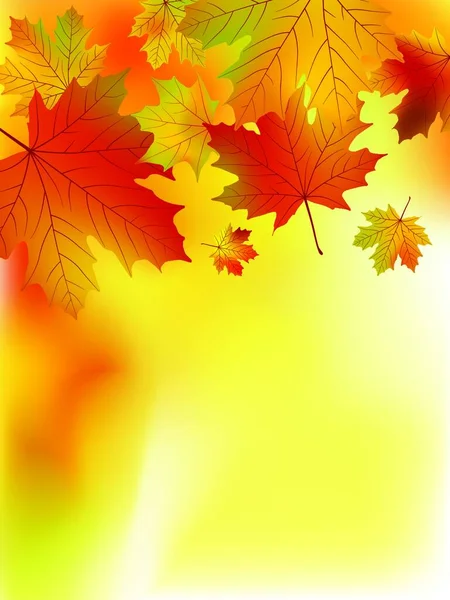 Fall Yellow Maple Leaves — Stock Vector