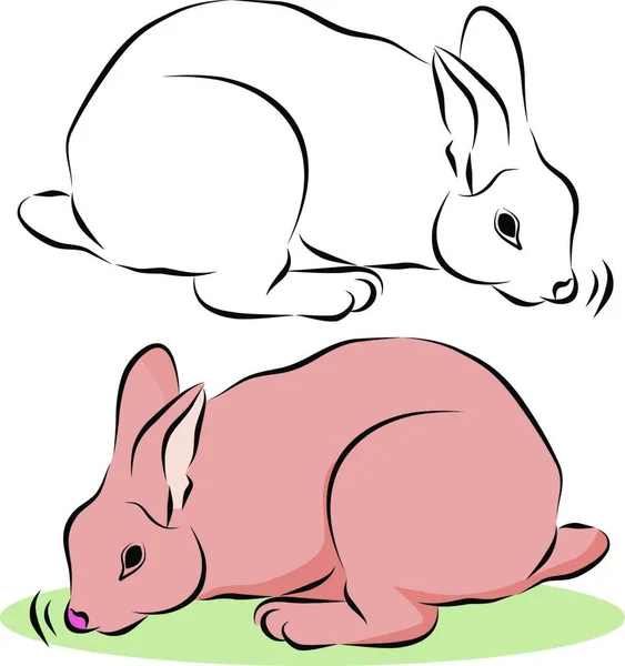 Bunny Rabbit Sniffing Ilustração Vetorial Colorido — Vetor de Stock