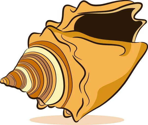 Seashell Dessin Illustration Vectorielle Colorée — Image vectorielle