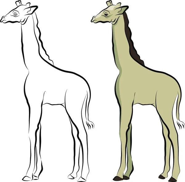 Desenho Linha Girafa Ilustração Vetorial Colorido — Vetor de Stock