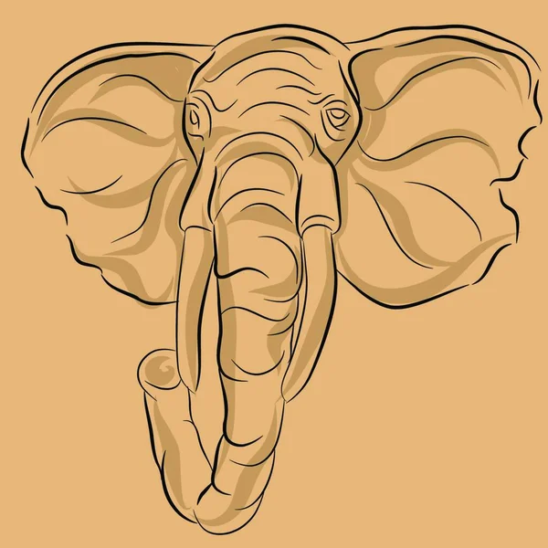 Elefantenkopf Zeichnung Bunte Vektorillustration — Stockvektor