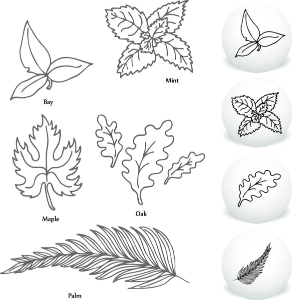 Palm Leaf Tropical Outline Temporary Tattoo Water Resistant Set Collection  | eBay