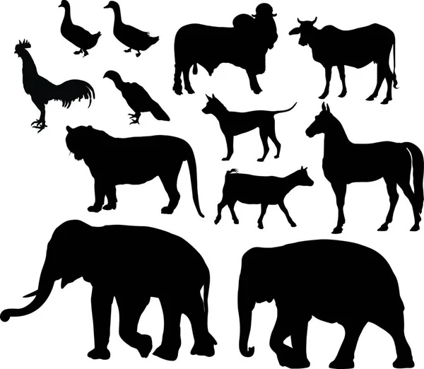 Красочная Векторная Иллюстрация Животных — стоковый вектор