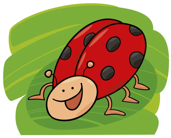 Funny Ladybug Graphic Vector Illustration — Stock Vector