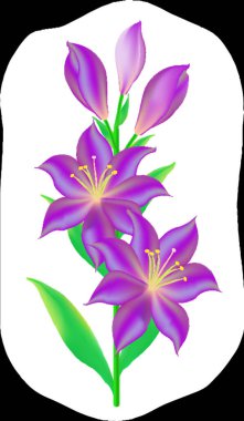 Güzel çiçeklerin vektör çizimi