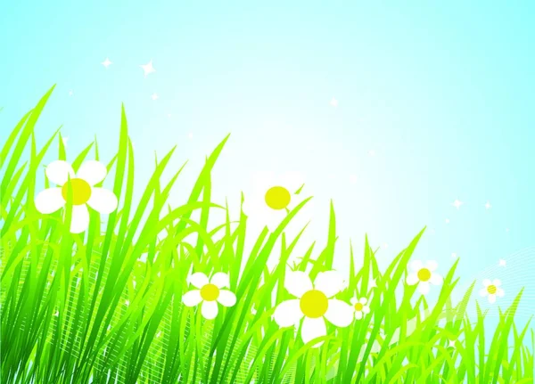 Beautiful Spring Meadow Background — Stock Vector