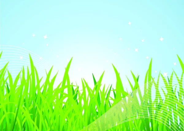 Beautiful Spring Meadow Background — Stock Vector