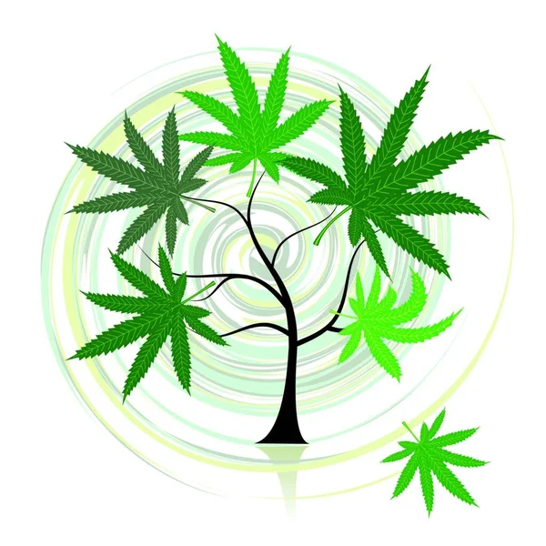 Cannabis Tree Ilustração Vetorial Gráfica — Vetor de Stock