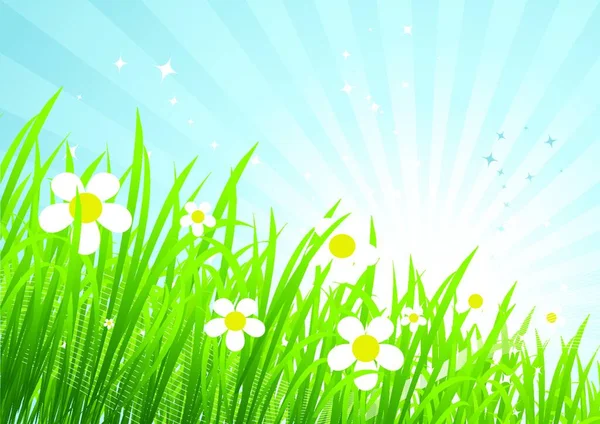美丽的春天草甸背景 — 图库矢量图片