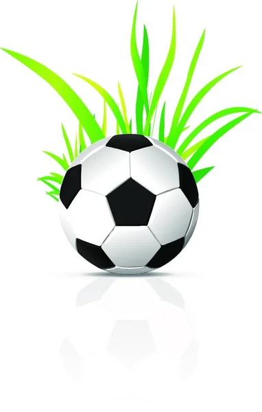 Illustration Vectorielle Vecteur Ballon Football — Image vectorielle