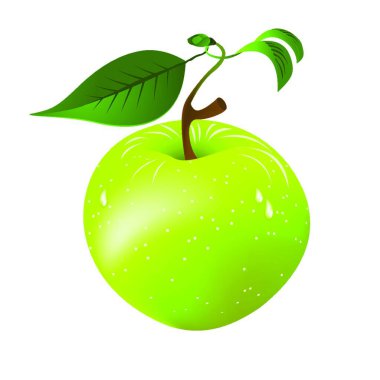 Yeşil Elma 'nın çizimi