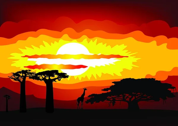 Afrika Sonnenuntergang Vektorillustration — Stockvektor