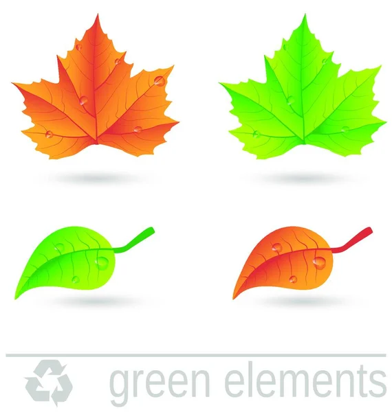 Green Design Elements Set Vector Illustration — Stock Vector
