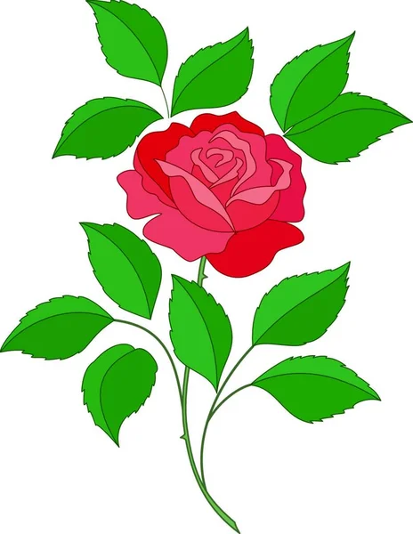 Векторная Иллюстрация Цветка Розы — стоковый вектор