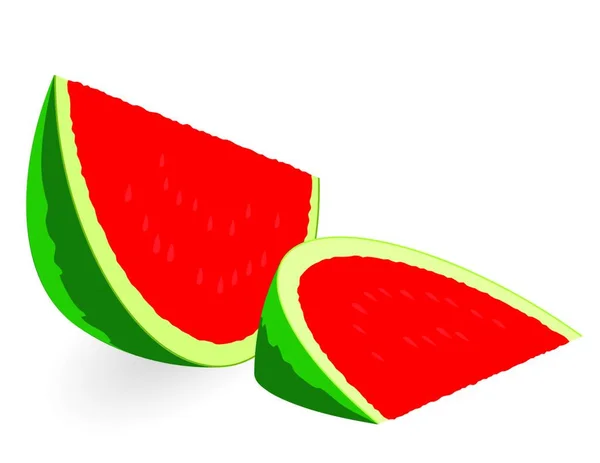 Illustration Watermelon — Stock Vector