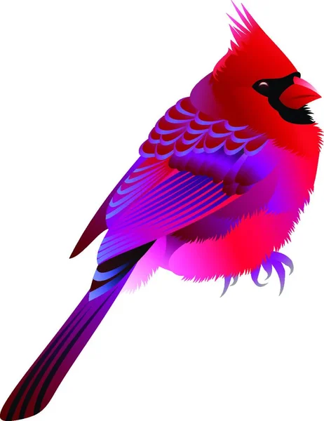 Rosa Pájaro Colorido Vector Ilustración — Vector de stock