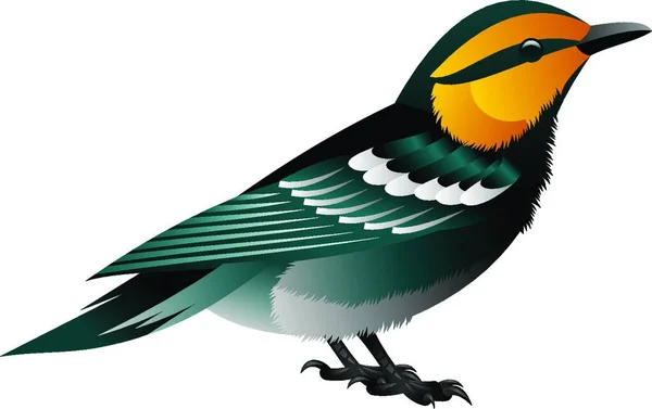 Sarı Başlı Gri Kuş Renkli Vektör Çizimi — Stok Vektör