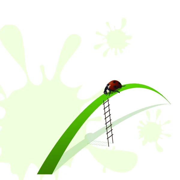 Ladybird Stairway Colorful Vector Illustration — Stock Vector