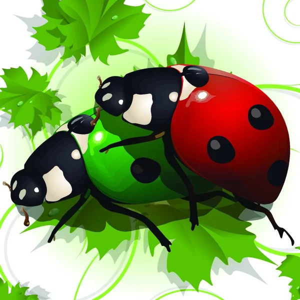 Ladybird Ilustração Vetorial Colorido — Vetor de Stock