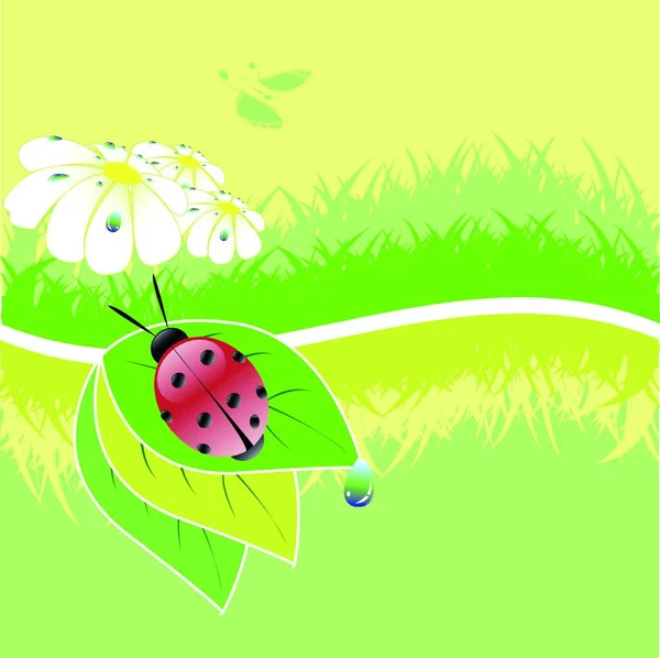 Ladybird Graphic Vector Illustration — Image vectorielle