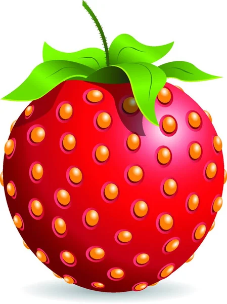 Frische Bio Erdbeeren Vektor Illustration — Stockvektor