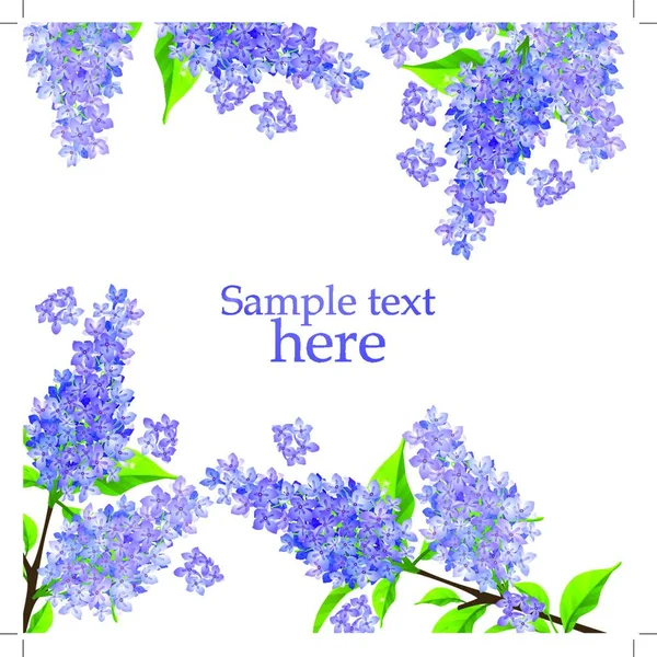 Branche Lilas Fleurs Illustration Vectorielle Graphique — Image vectorielle