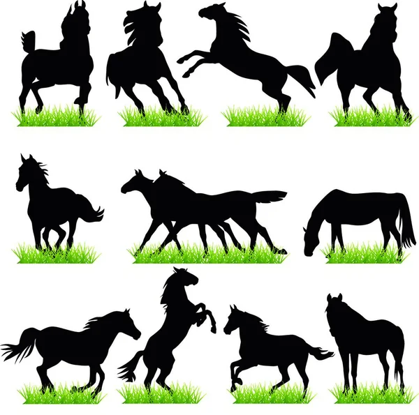 Horses Silhouettes Set — Stock Vector