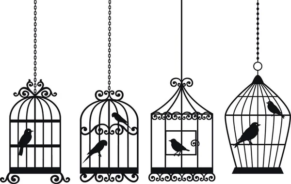 Decorative Birdcages Graphic Vector Illustration — Stockvector