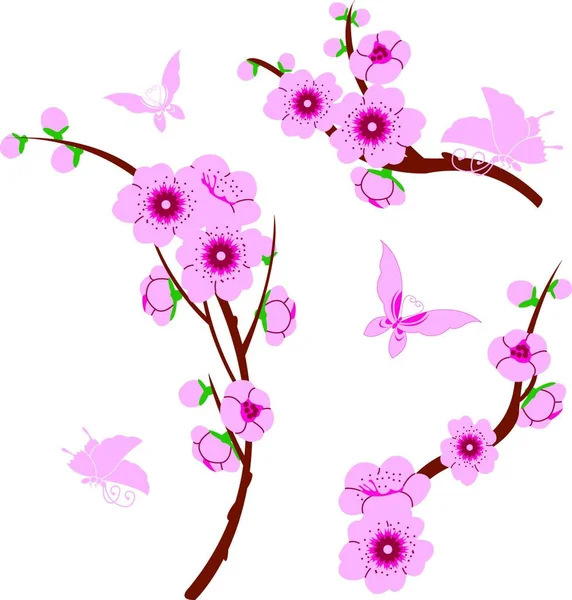 Éléments Sakura Illustration Vectorielle Graphique — Image vectorielle