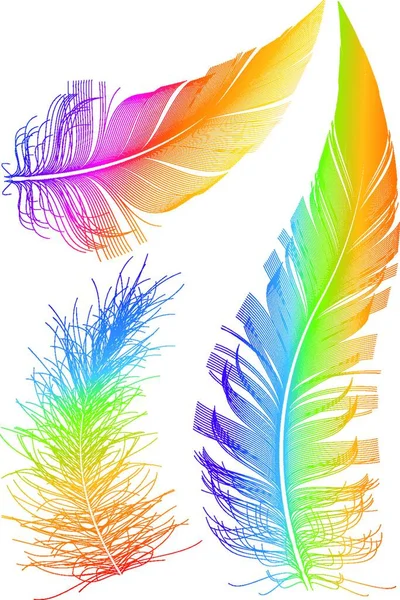 Colorful Vector Feather Graphic Vector Illustration — Archivo Imágenes Vectoriales