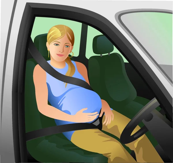 Seat Belts Graphic Vector Illustration — Stock Vector