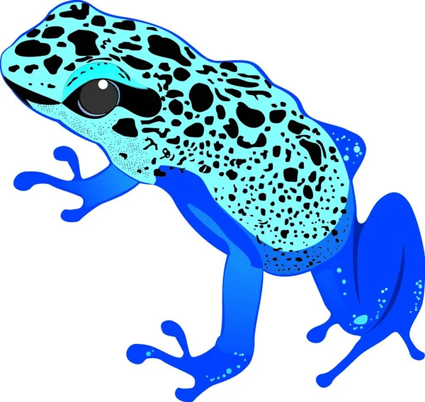 개구리 일러스트레이션 간단한 디자인 — 스톡 벡터