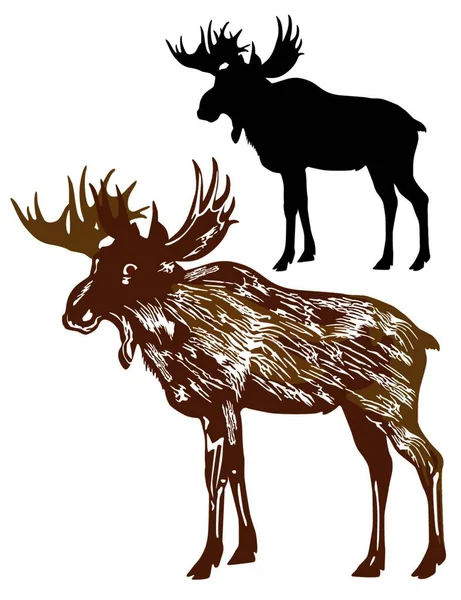 Moose Elk Graphic Vector Illustration — Stock Vector