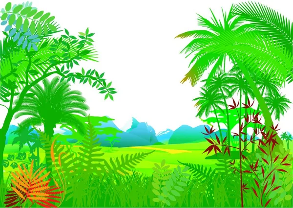 Jungle Met Palmbomen Grafische Vector Illustratie — Stockvector
