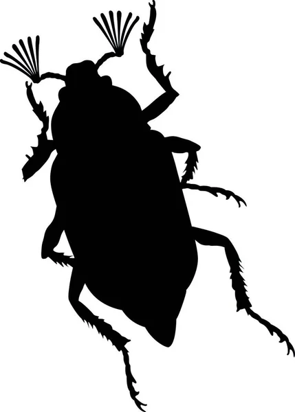 May Bug Графічні Векторні Ілюстрації — стоковий вектор