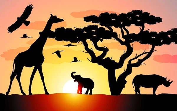 Africká Zvířata Savaně Barevné Ilustrace — Stockový vektor